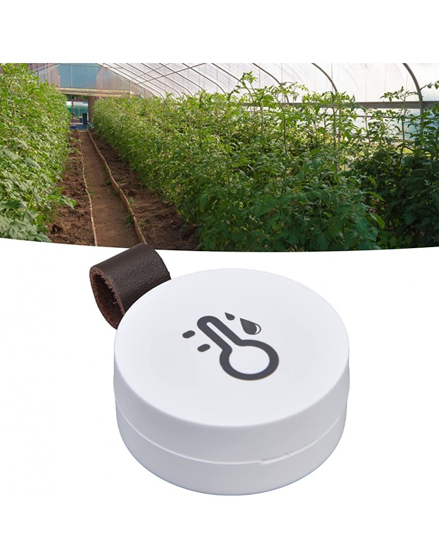 Temperatur-Feuchtigkeitsmesser MEMS-Sensor Gewächshaus-Hygromete hohe Genauigkeit für den Garten - BGNQSBK9