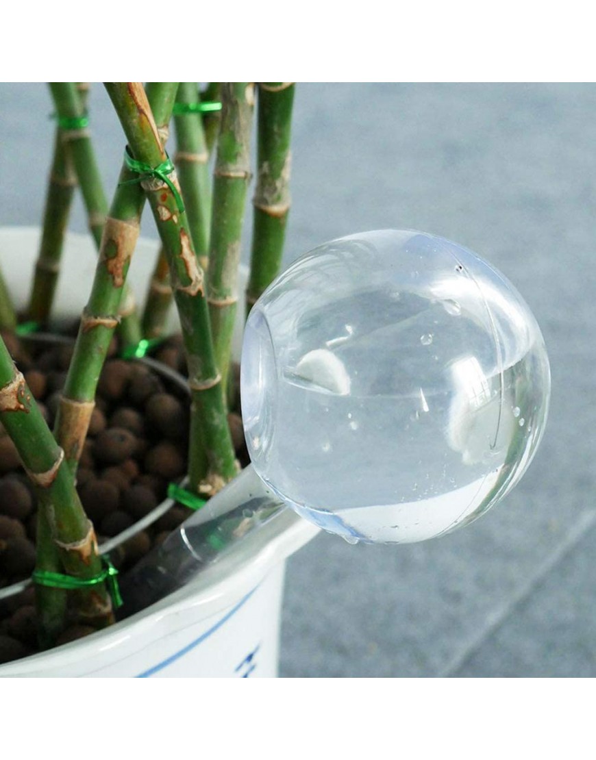 Yarnow Selbstbewässernde Kugeln kleine Pflanzenzwiebeln automatische Selbstwasser-Zwiebeln dekorative Wasserkugel für Topfpflanzen Blumen-Wasserwerkzeug – 13 x 5 cm transparent - BCXDF87H