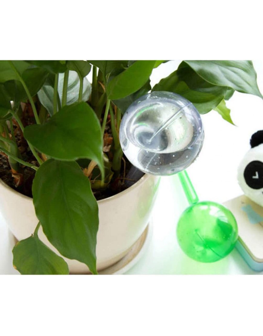 Yarnow Selbstbewässernde Kugeln kleine Pflanzenzwiebeln automatische Selbstwasser-Zwiebeln dekorative Wasserkugel für Topfpflanzen Blumen-Wasserwerkzeug – 13 x 5 cm transparent - BCXDF87H
