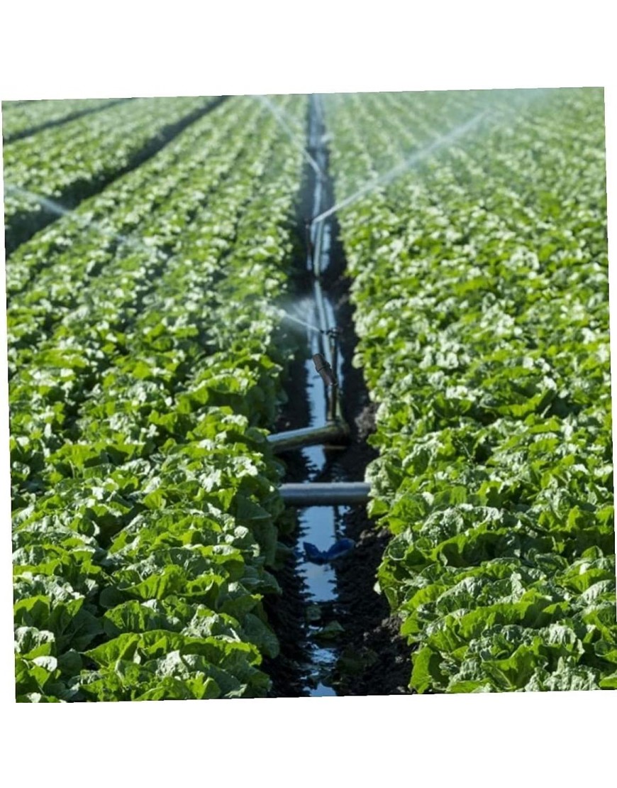 Bewässerungsfilter Garten Tropfbewässerungssystem Edelstahl Mesh Wasserfilter 1 Zoll Filter Landwirtschaft Werkzeug Langlebige Verarbeitung - BKIQHEV4
