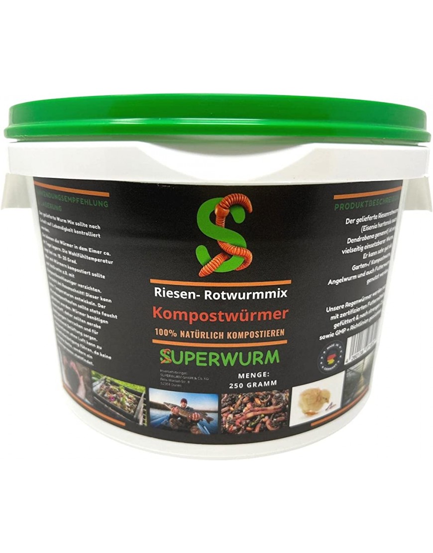 SUPERWURM Kompostwurm-Mix 250g ca.300 St. Riesen-Rotwurmmix mit lebenden Kompostwürmern I Kompostwürmer für eine schnelle & nachhaltige Kompostierung im Schnellkomposter und Thermokomposter - BGSCZENK