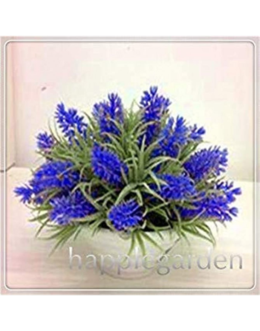 . 100 Stück Lavendel-Kräuter-Garten Balkon Pot Vier Jahreszeiten Blumen für Zimmerpflanzen 4 - BRRUXEDN