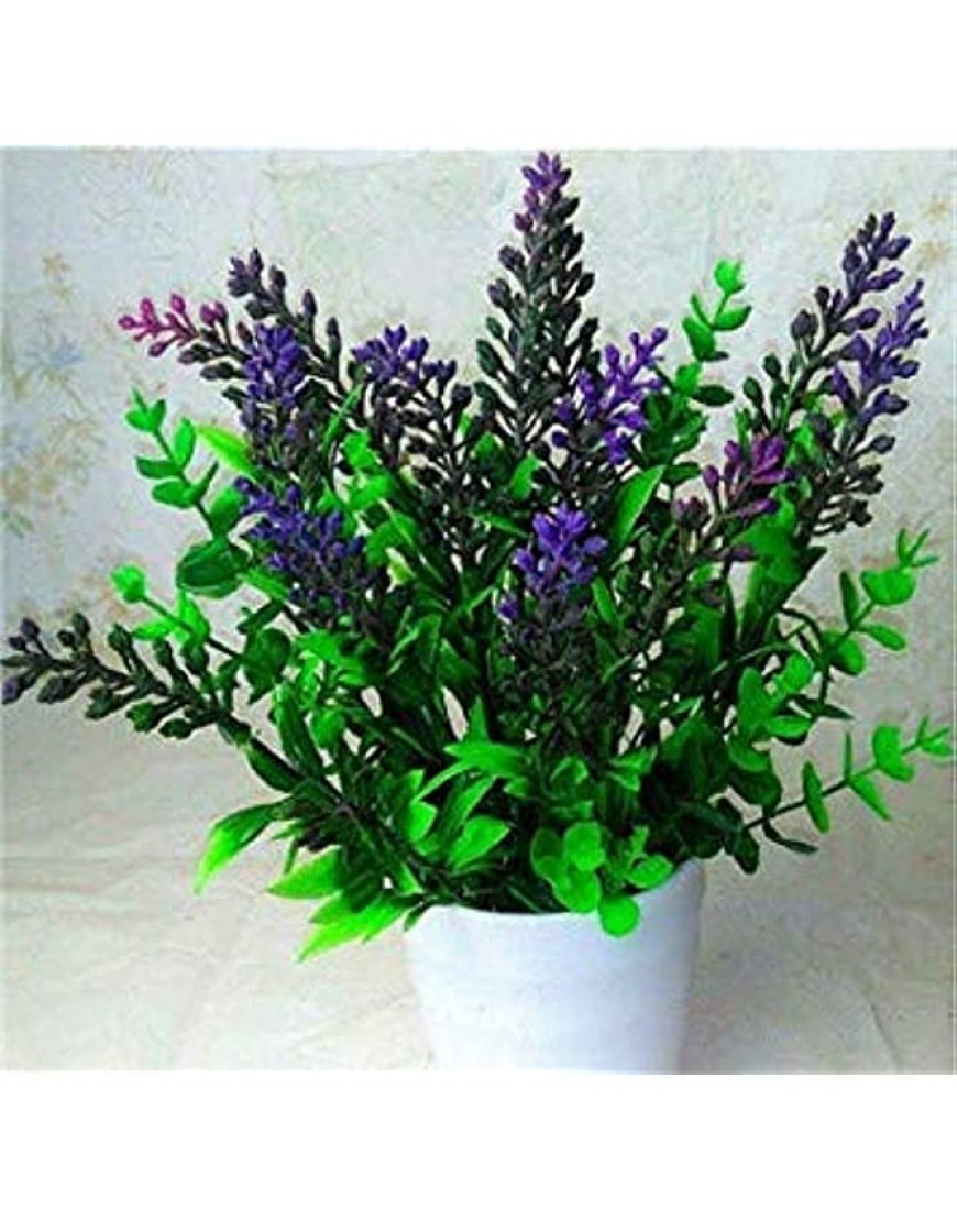 . 100 Stück Lavendel-Kräuter-Garten Balkon Pot Vier Jahreszeiten Blumen für Zimmerpflanzen 9 - BSQYLJ4K