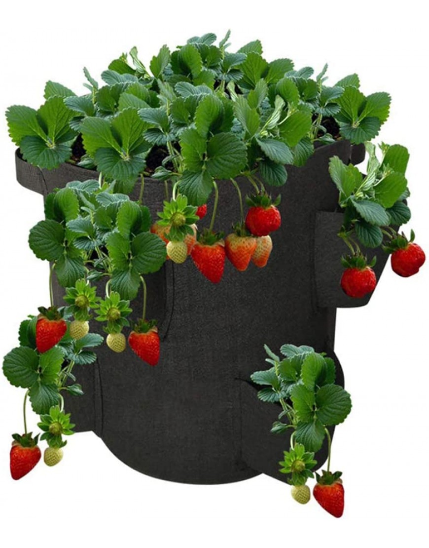 Pflanzen Tasche Outdoor Garten Pflanztasche Strawberry Vertikale Blume Kräutertasche Wurzel Atmungsaktiv Gemüse Runde Wiederverwendbare Blumentopf Color : Green Size : 3 Pockets - BLNBAEB9
