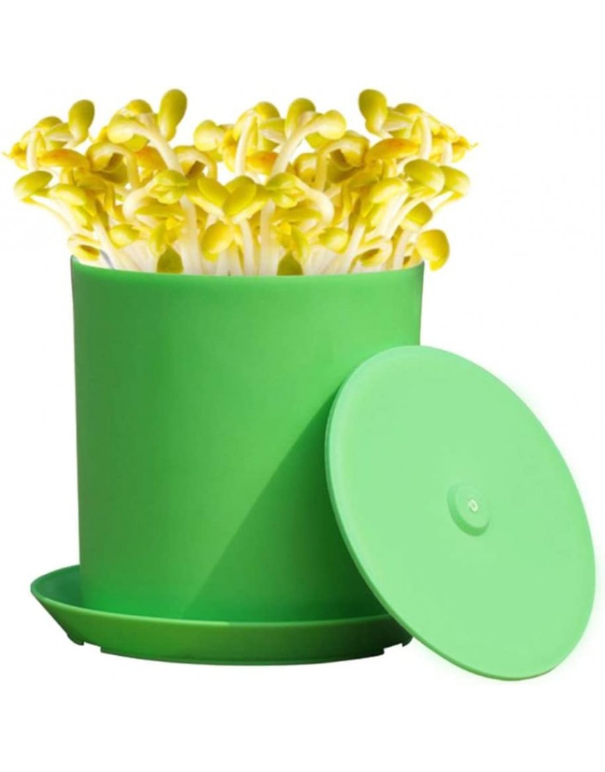 Pflanzkeimschale Pflanzschale für Kunststoffsprossen Keimschalen BPA Frei Seed Sprouter Tray Sämling-Tablett Hydrokultur für Gemüse Garten Setzling-Töpfe mit Deckel Color : Green - BXKHYA7K
