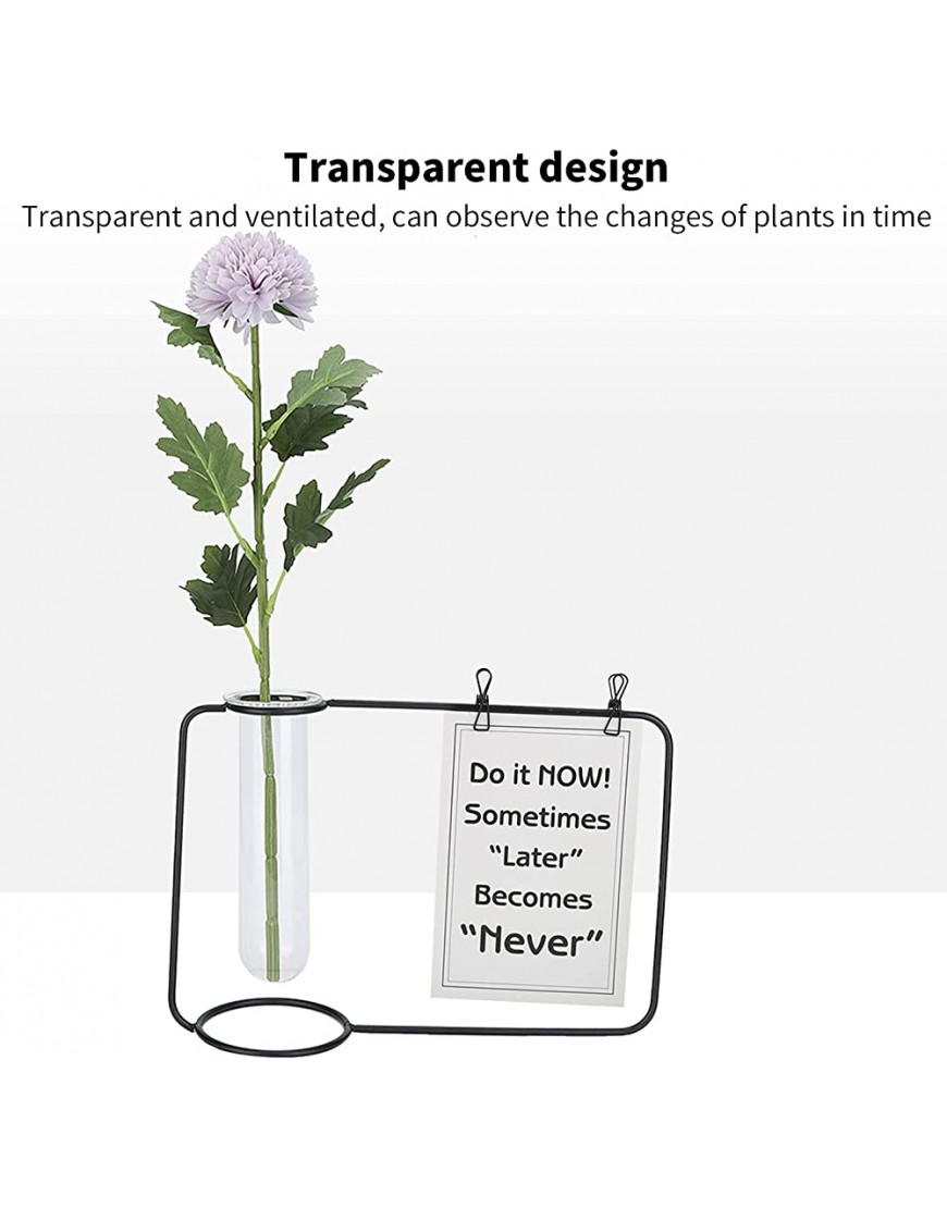Cosiki Blumenkasten aus Glas Glasvase mit Metallrahmen belüftet wassersparend für Büro Innenbereich für Garten Blumen Schwarz - BOMRC41E