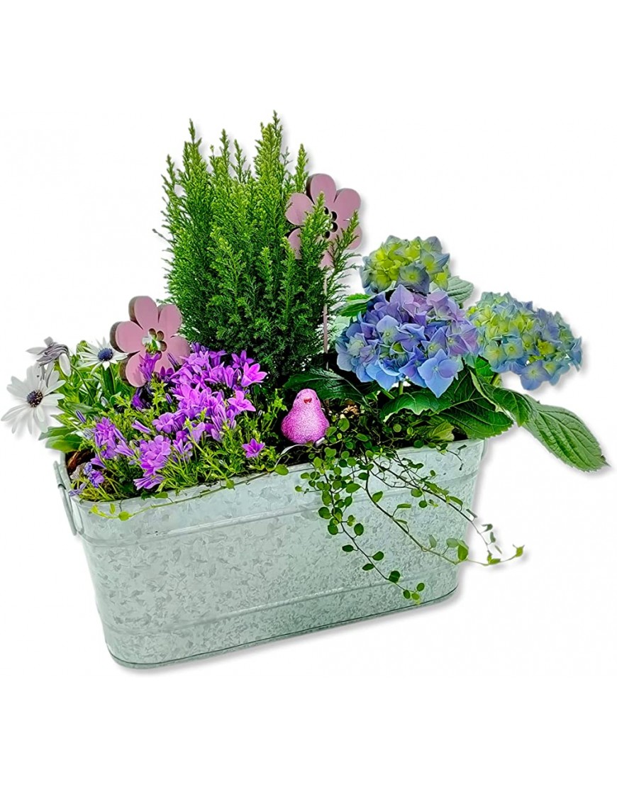 DARO DEKO Metall Blumenschale 19 x 38cm verzinkt Blumen-Topf Übertopf Blumenkasten - BQWJW5KQ