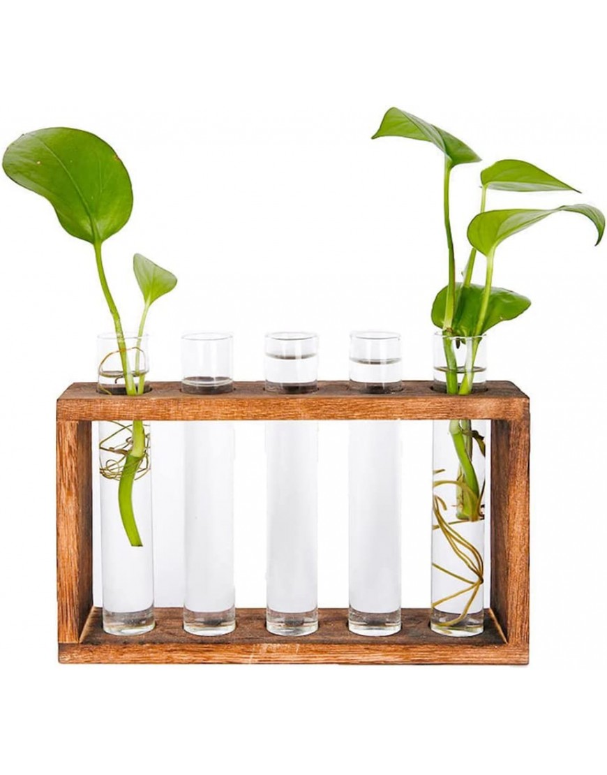 Hydrokultur-Pflanzenständer Desktop-Glasvase Blume Pflanze Terrarium Wandbehang Reagenzglas-Pflanzgefäß mit Holzständer für Hydrokultur Pflanzen Zuhause Garten - BGSWJ9MD